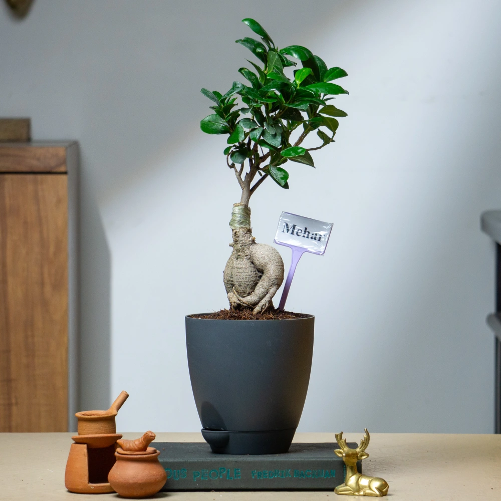 product-gallery
