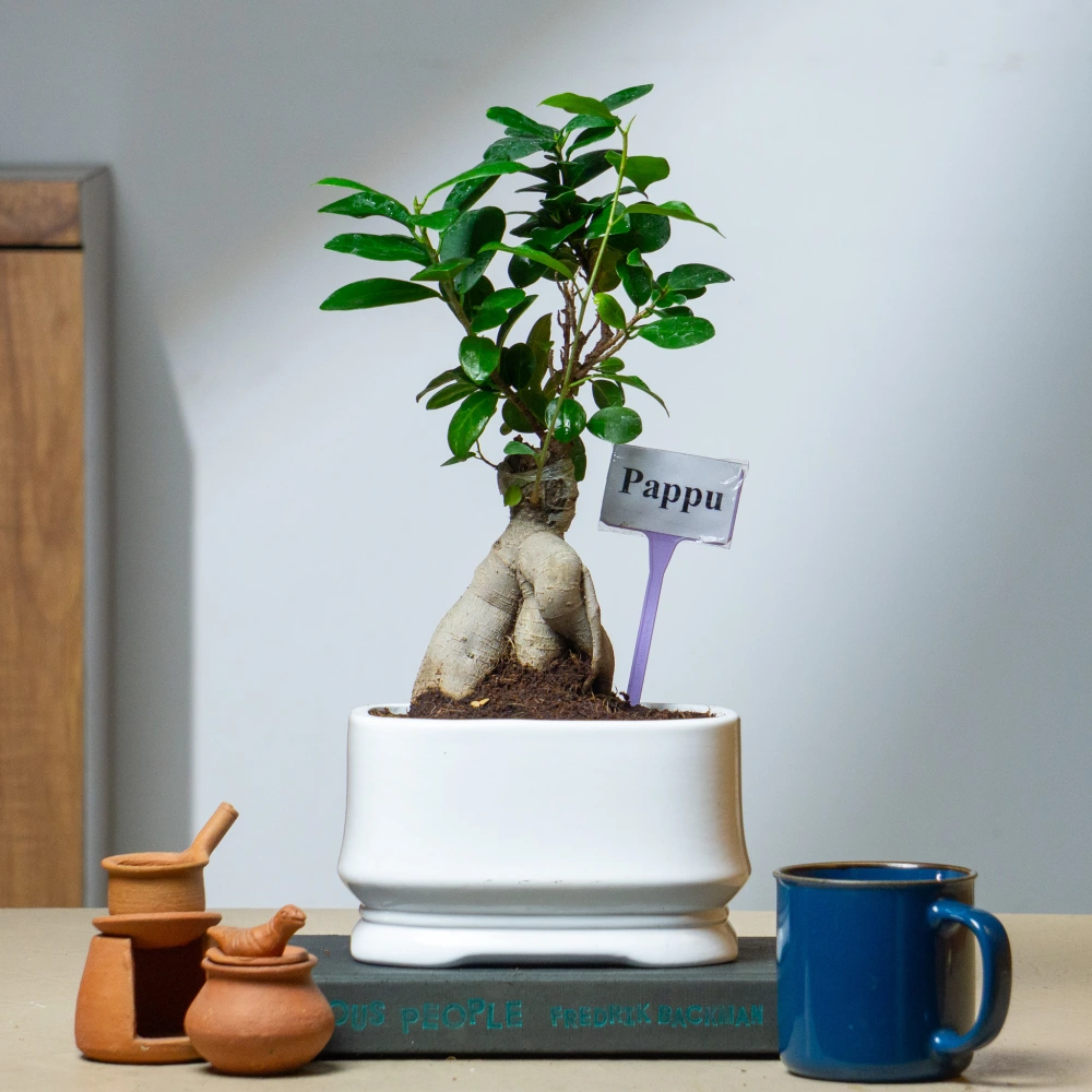 product-gallery