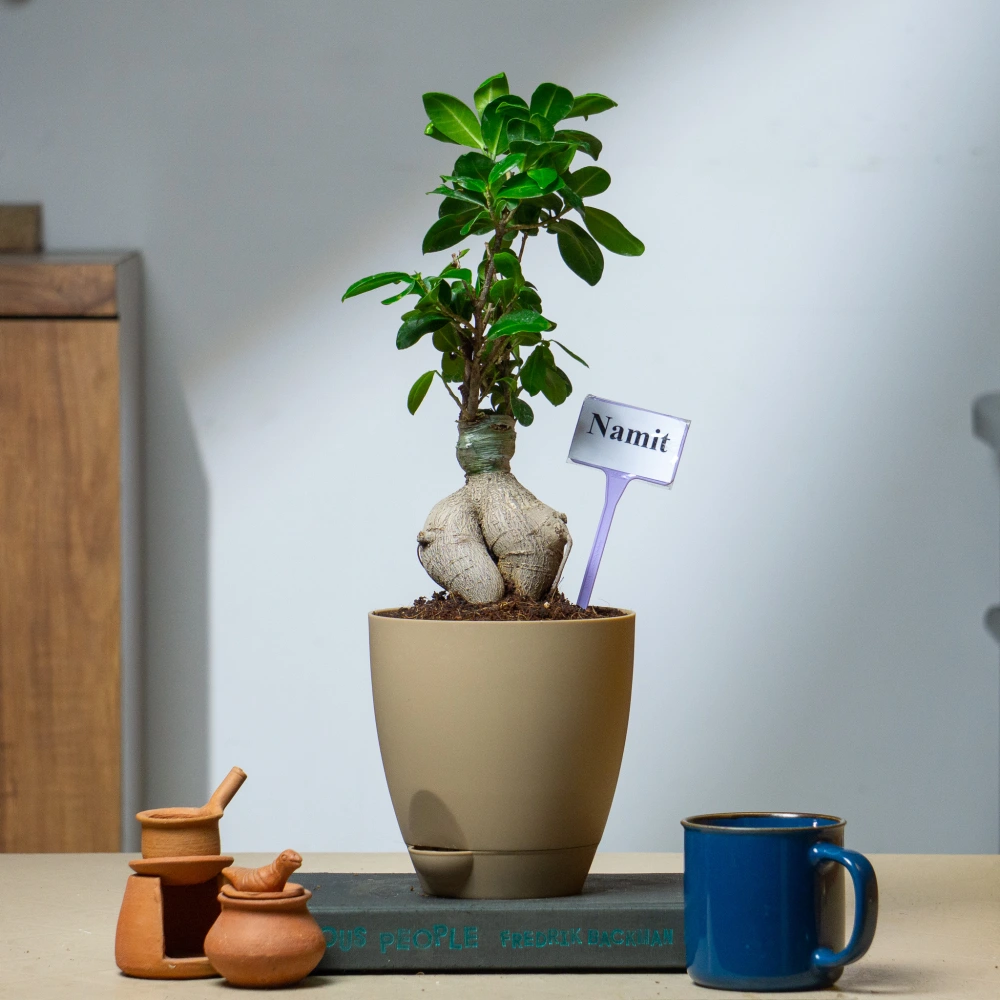 product-gallery