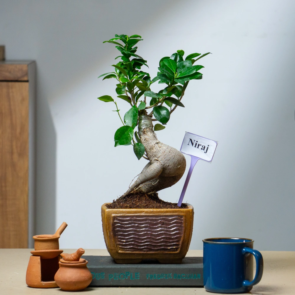 product-gallery