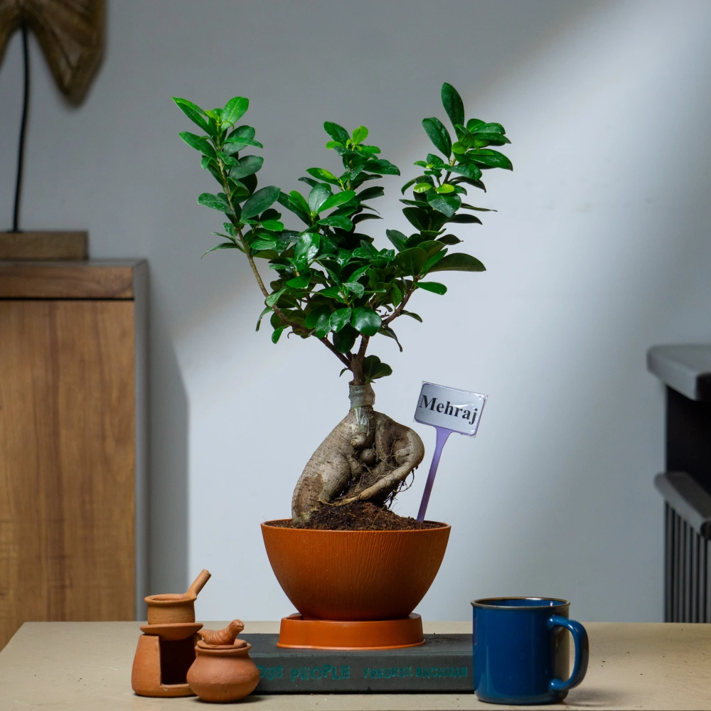 product-gallery