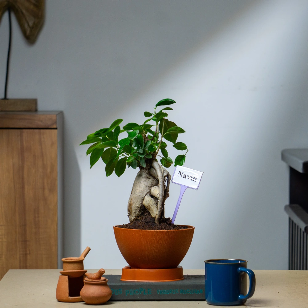 product-gallery