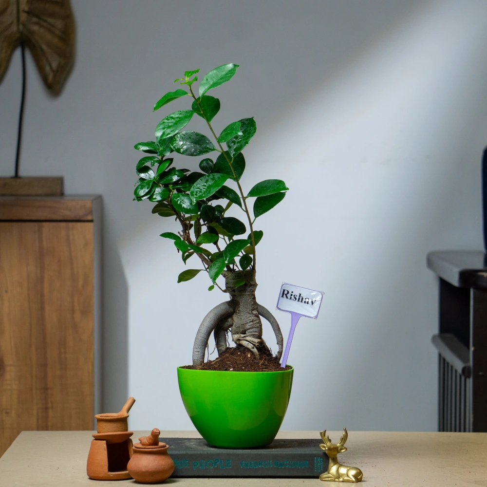 product-gallery