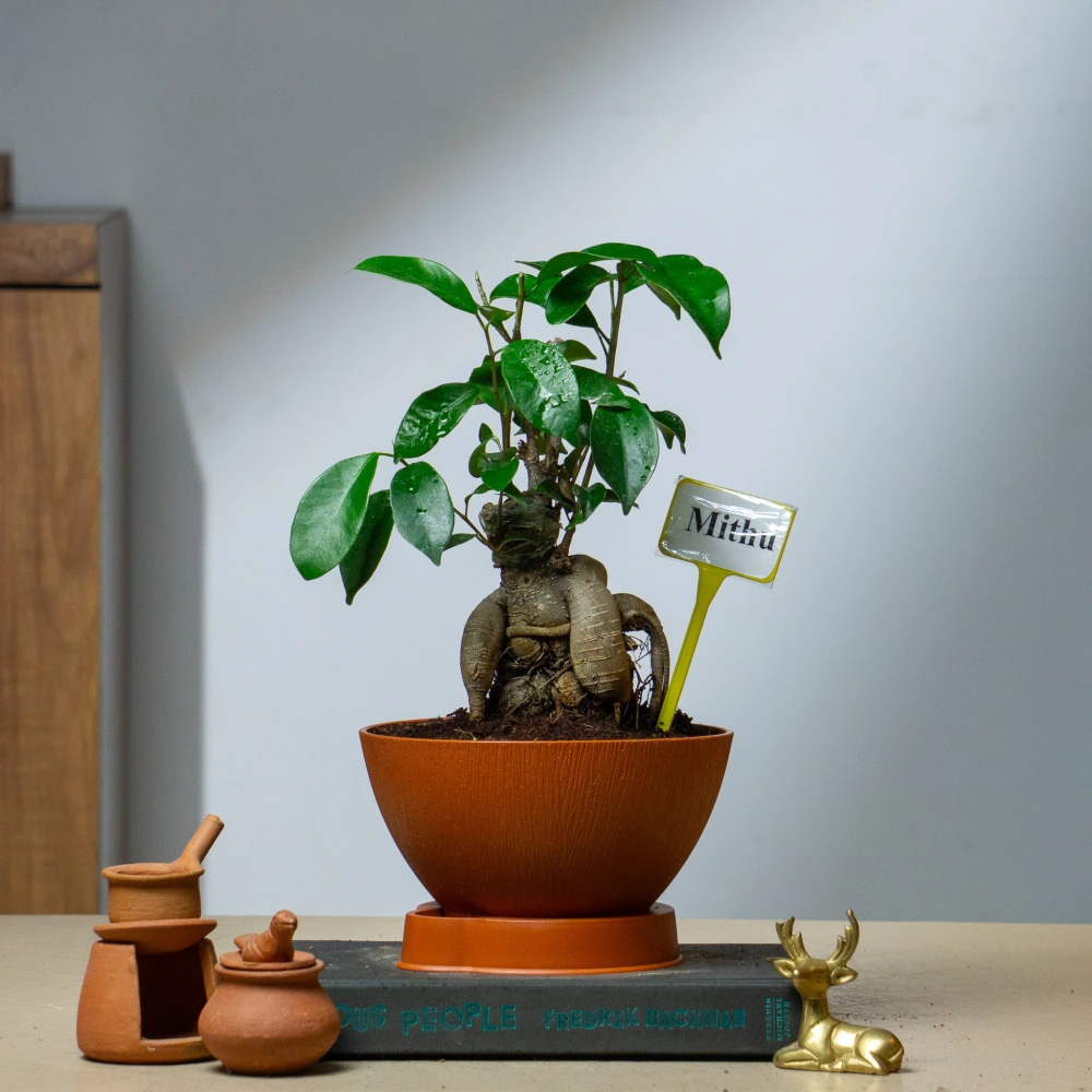 product-gallery