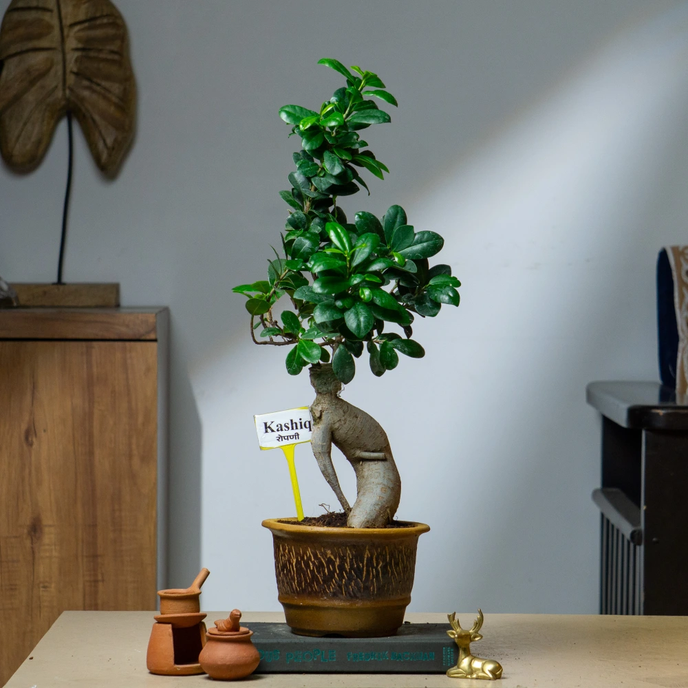 product-gallery