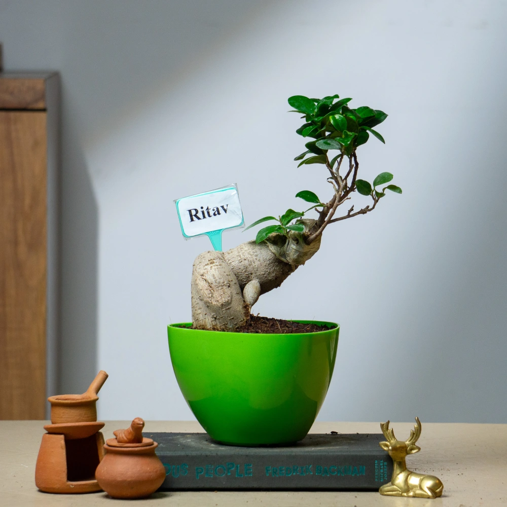 product-gallery