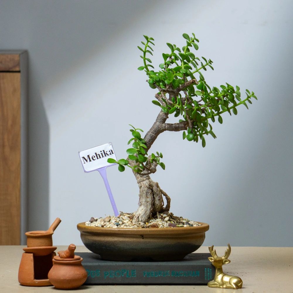 product-gallery