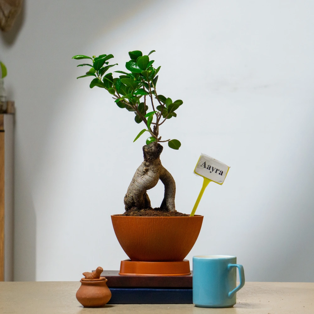 product-gallery