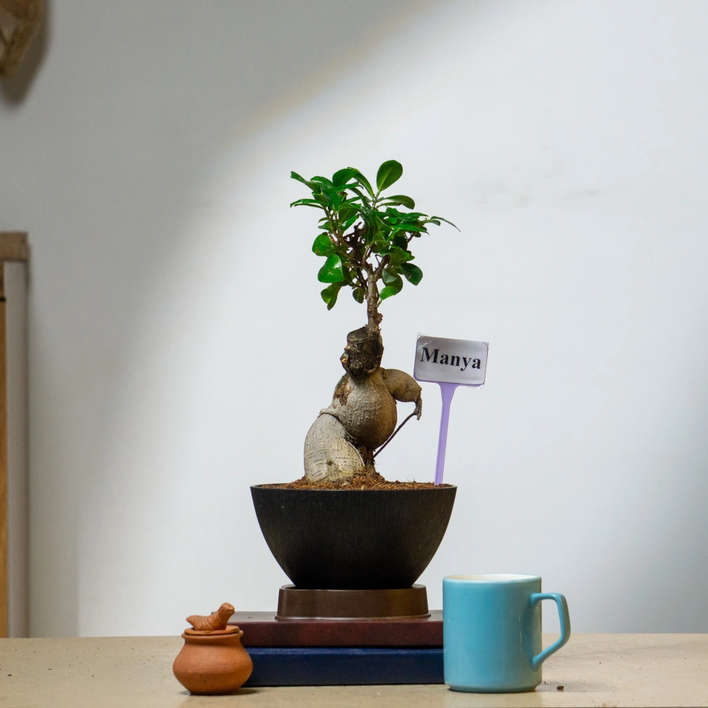 product-gallery
