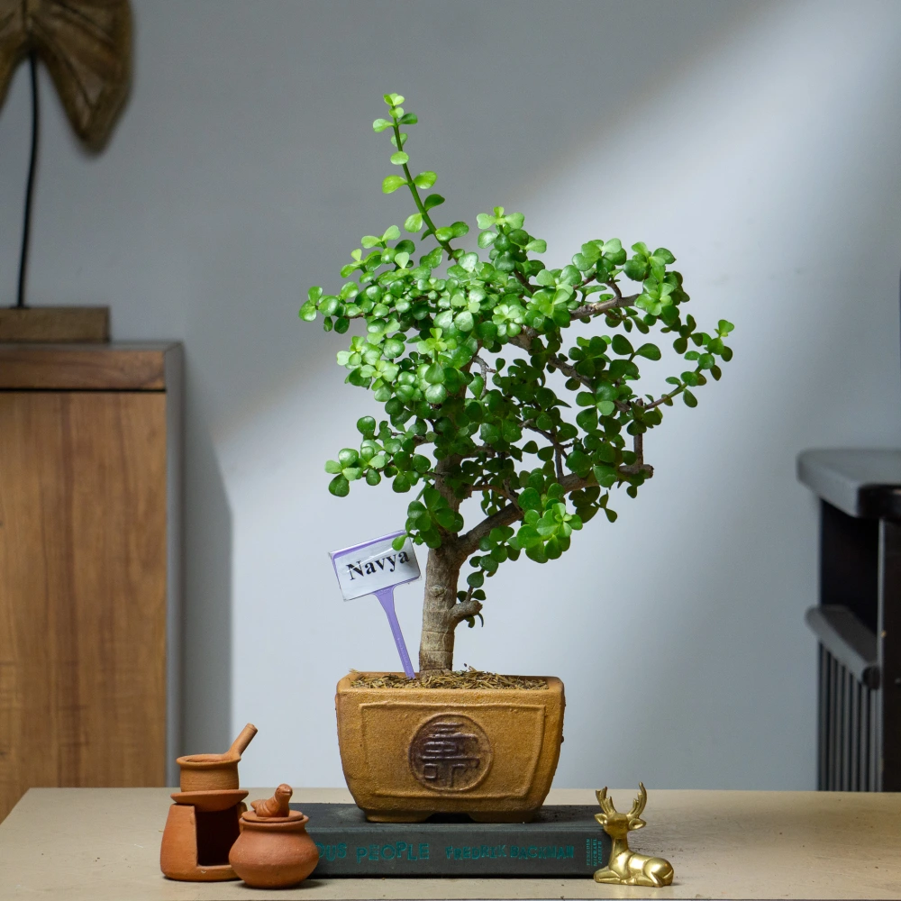product-gallery