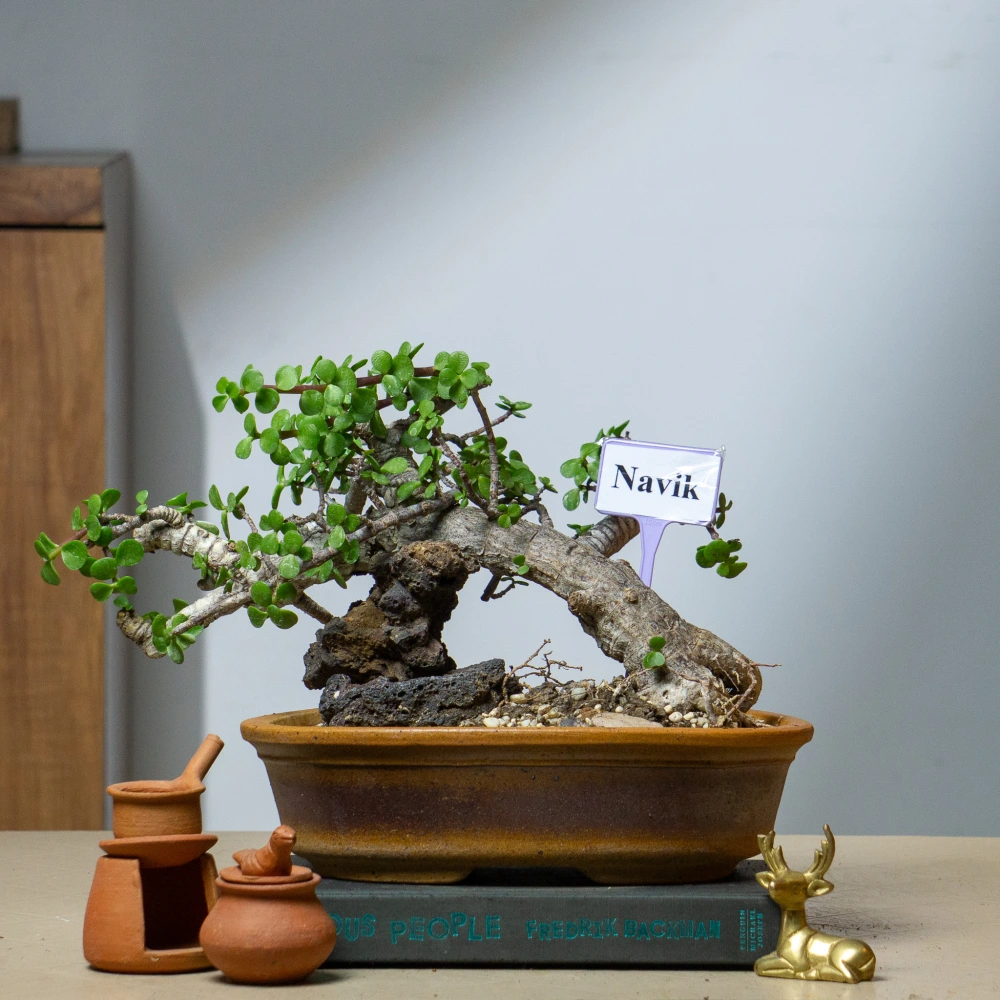 product-gallery