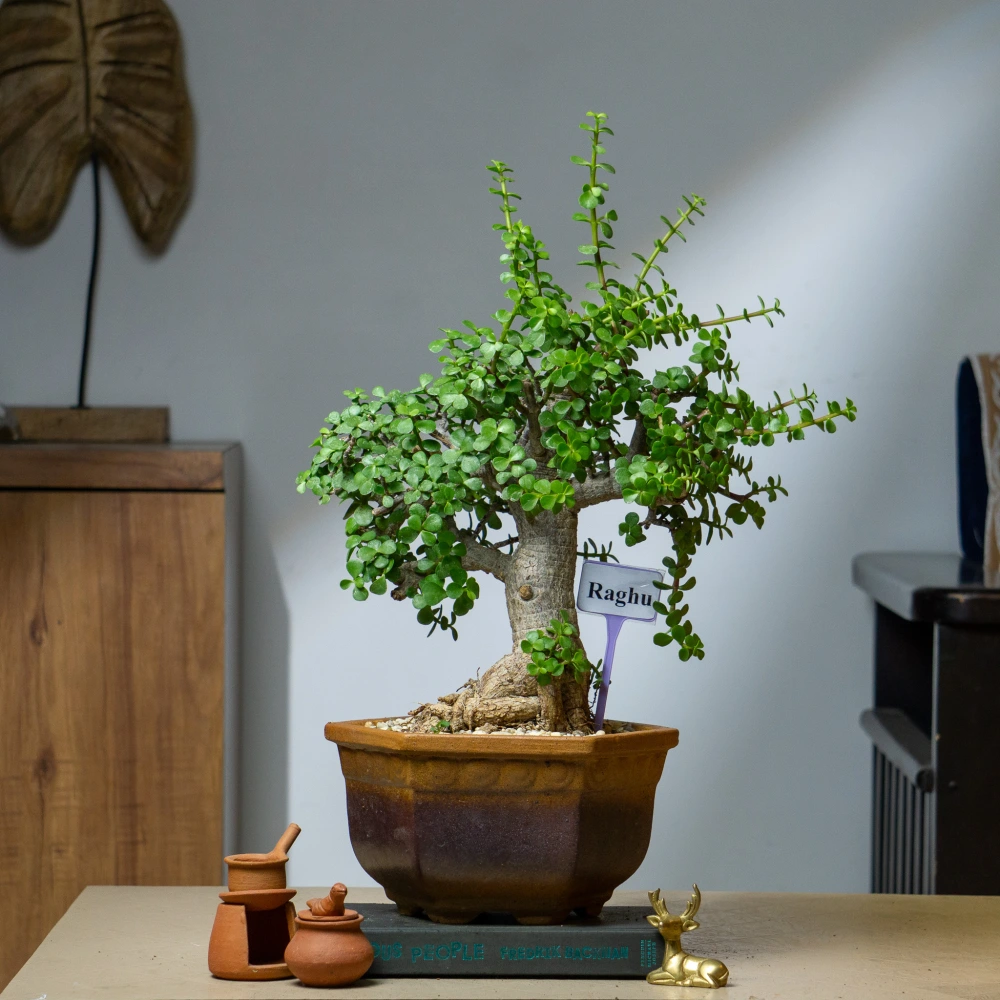 product-gallery