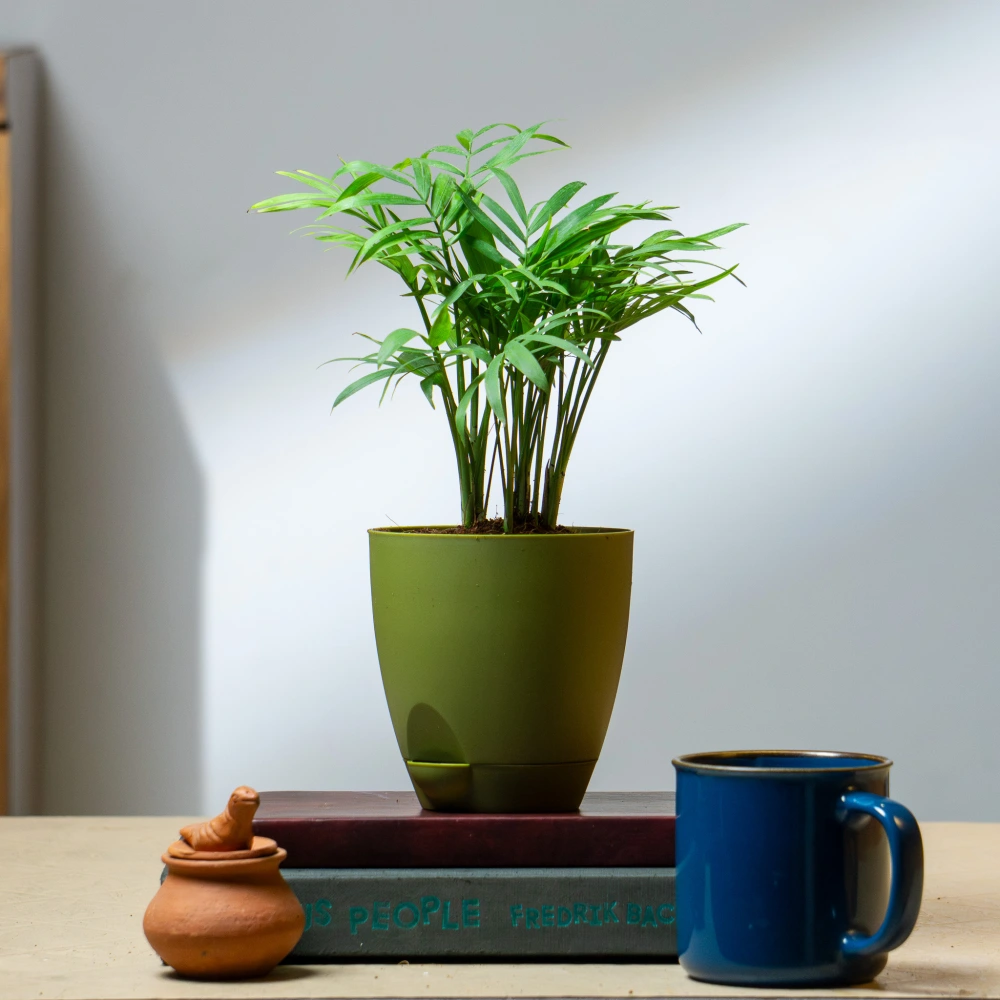 product-gallery