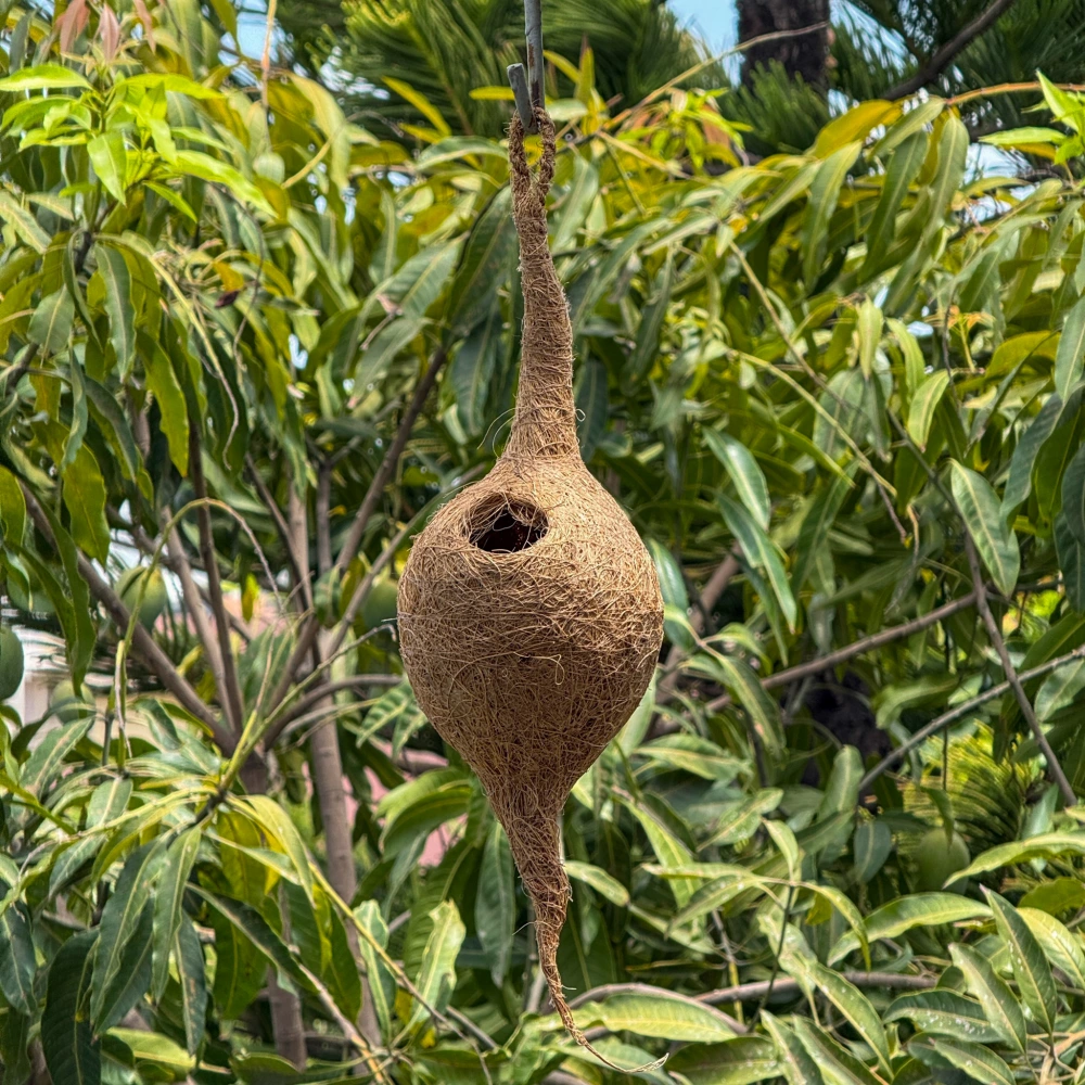 product-gallery
