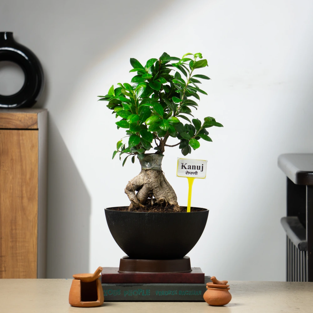 product-gallery