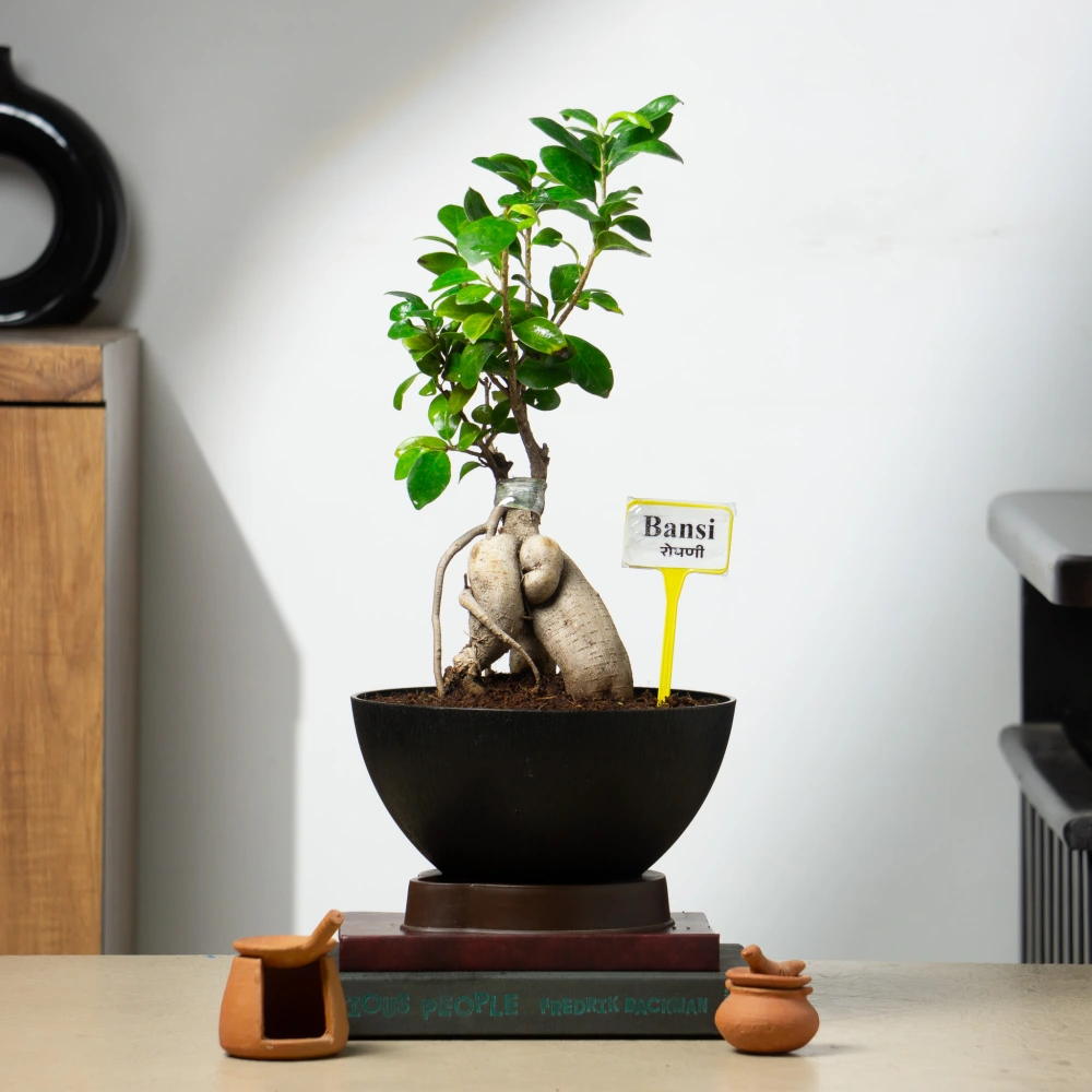 product-gallery