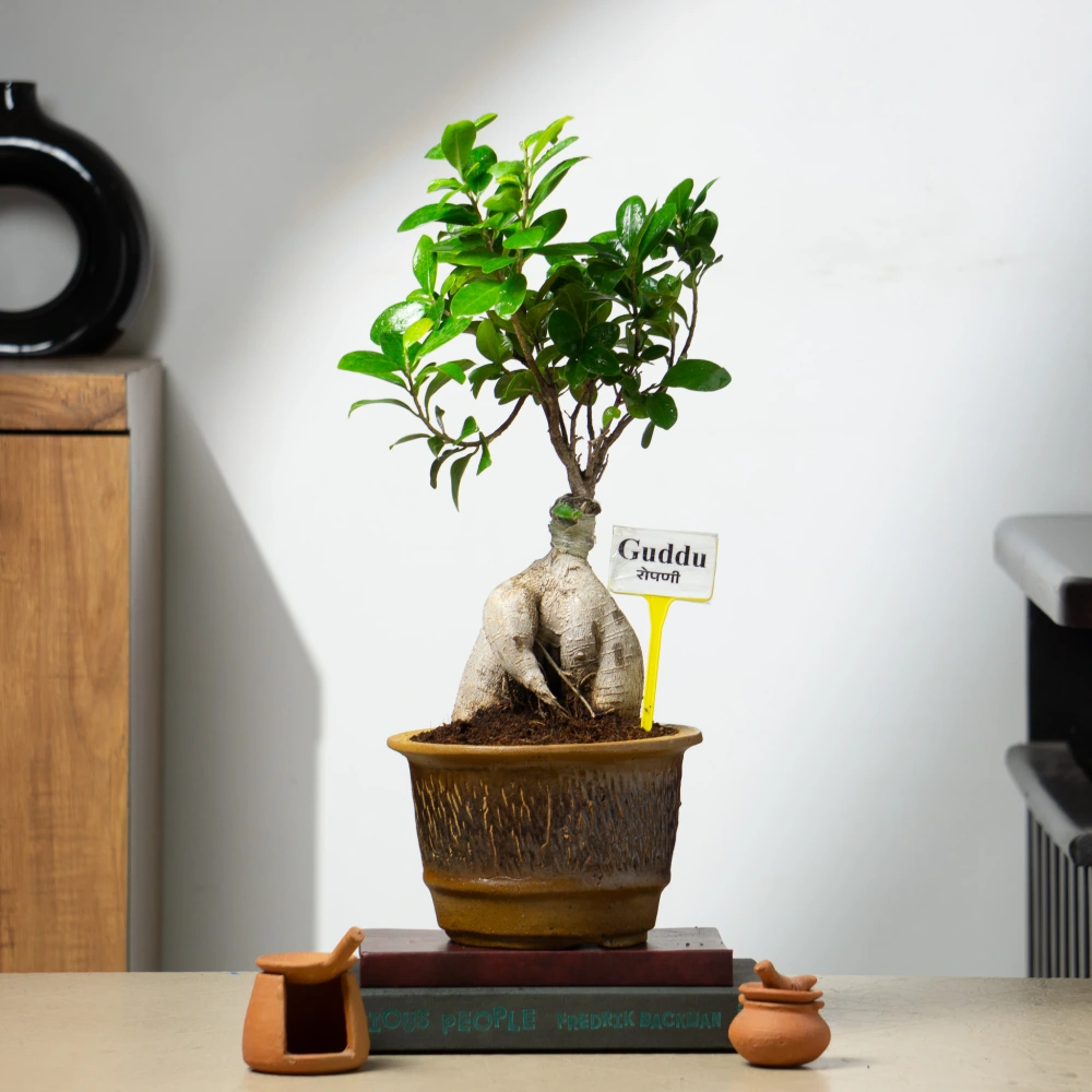 product-gallery