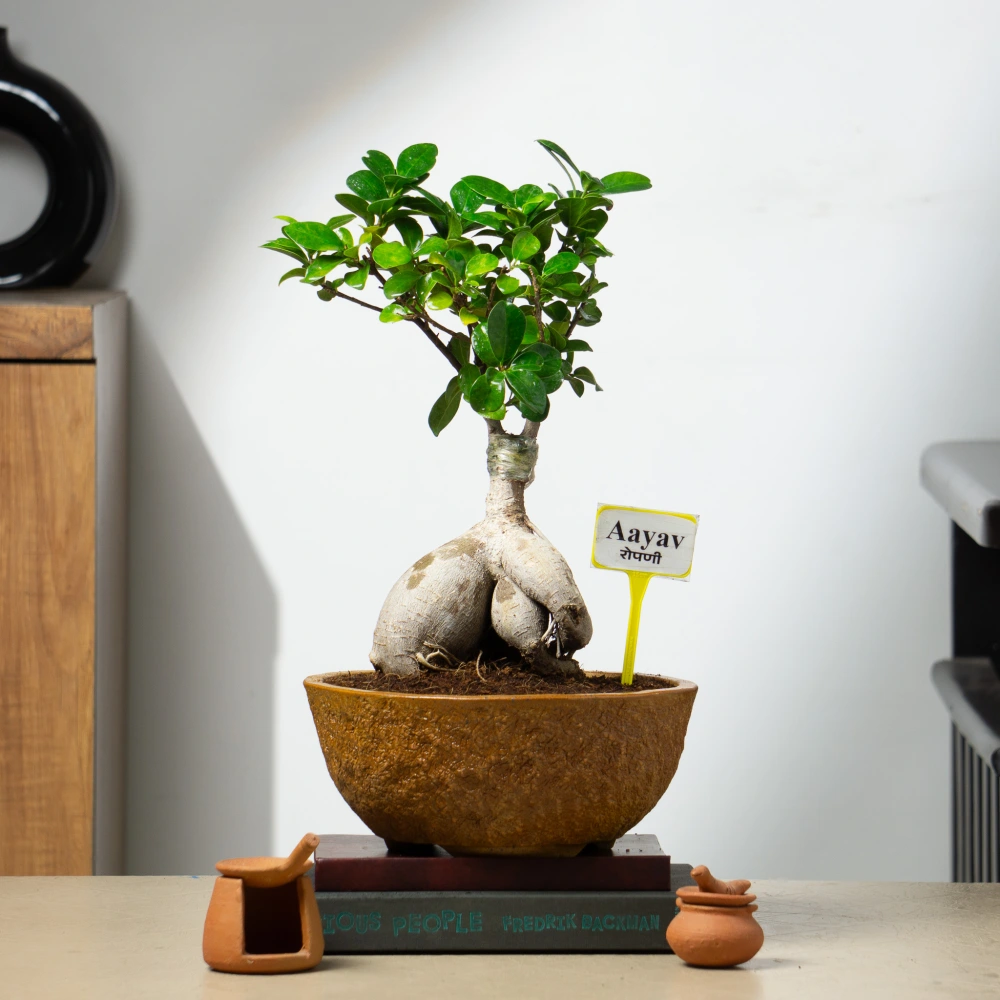 product-gallery