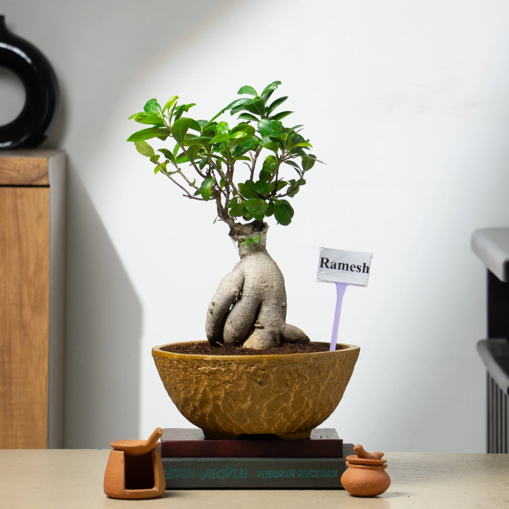 product-gallery