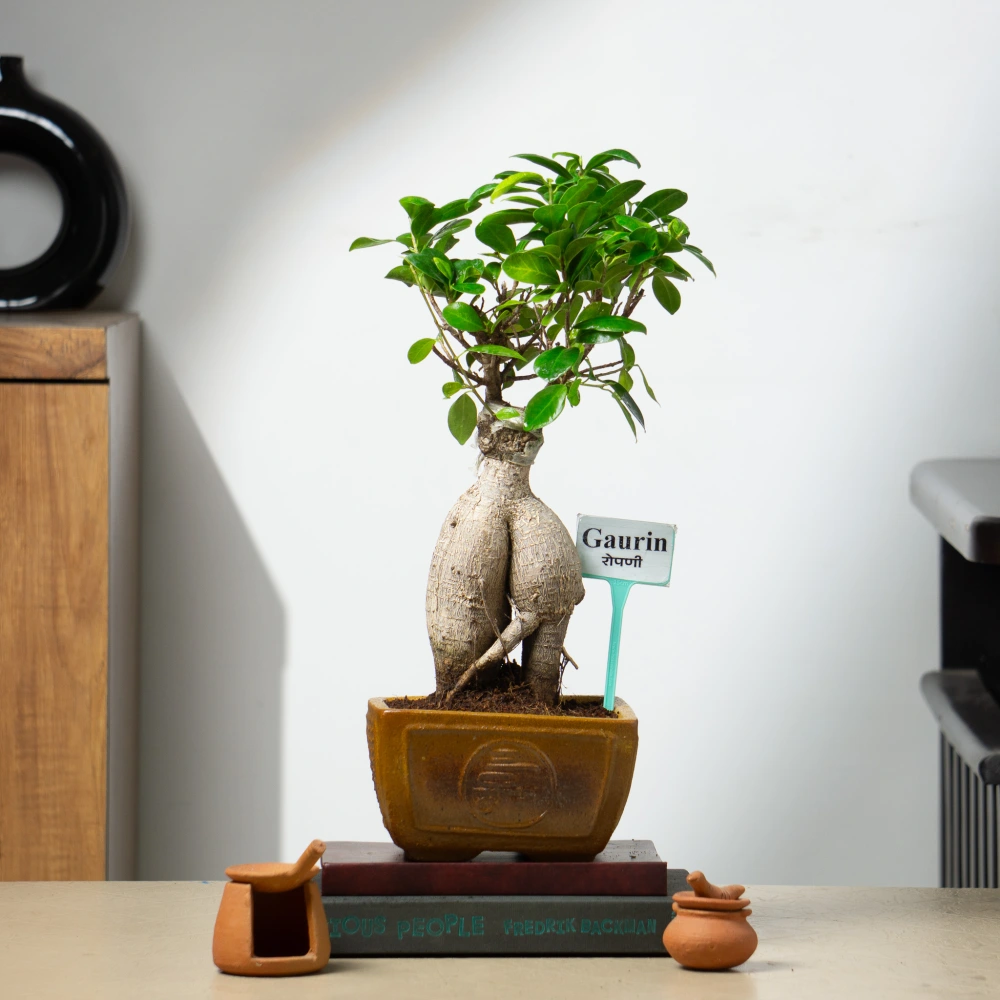 product-gallery