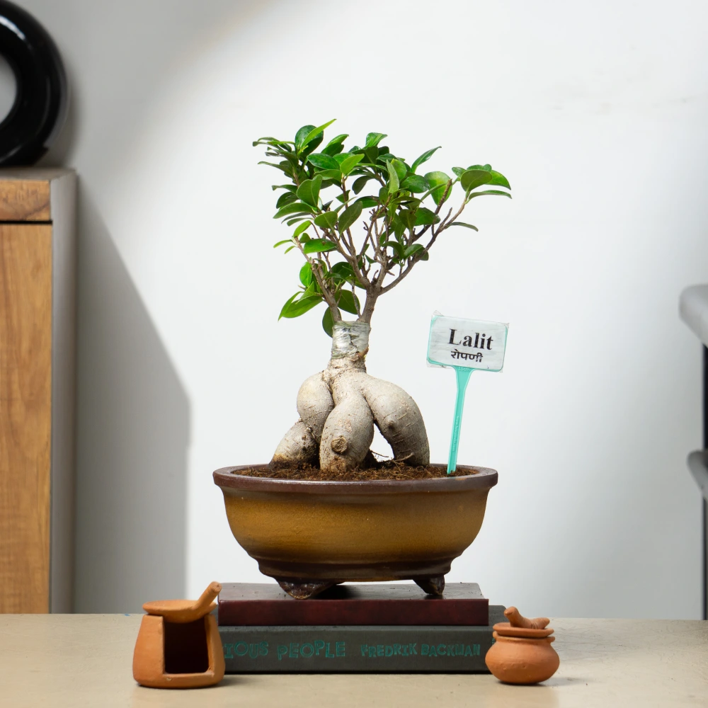 product-gallery