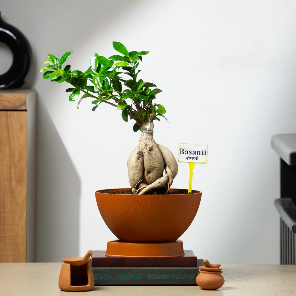 product-gallery