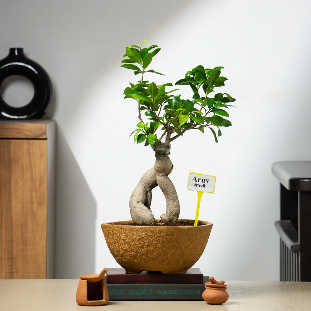 product-gallery