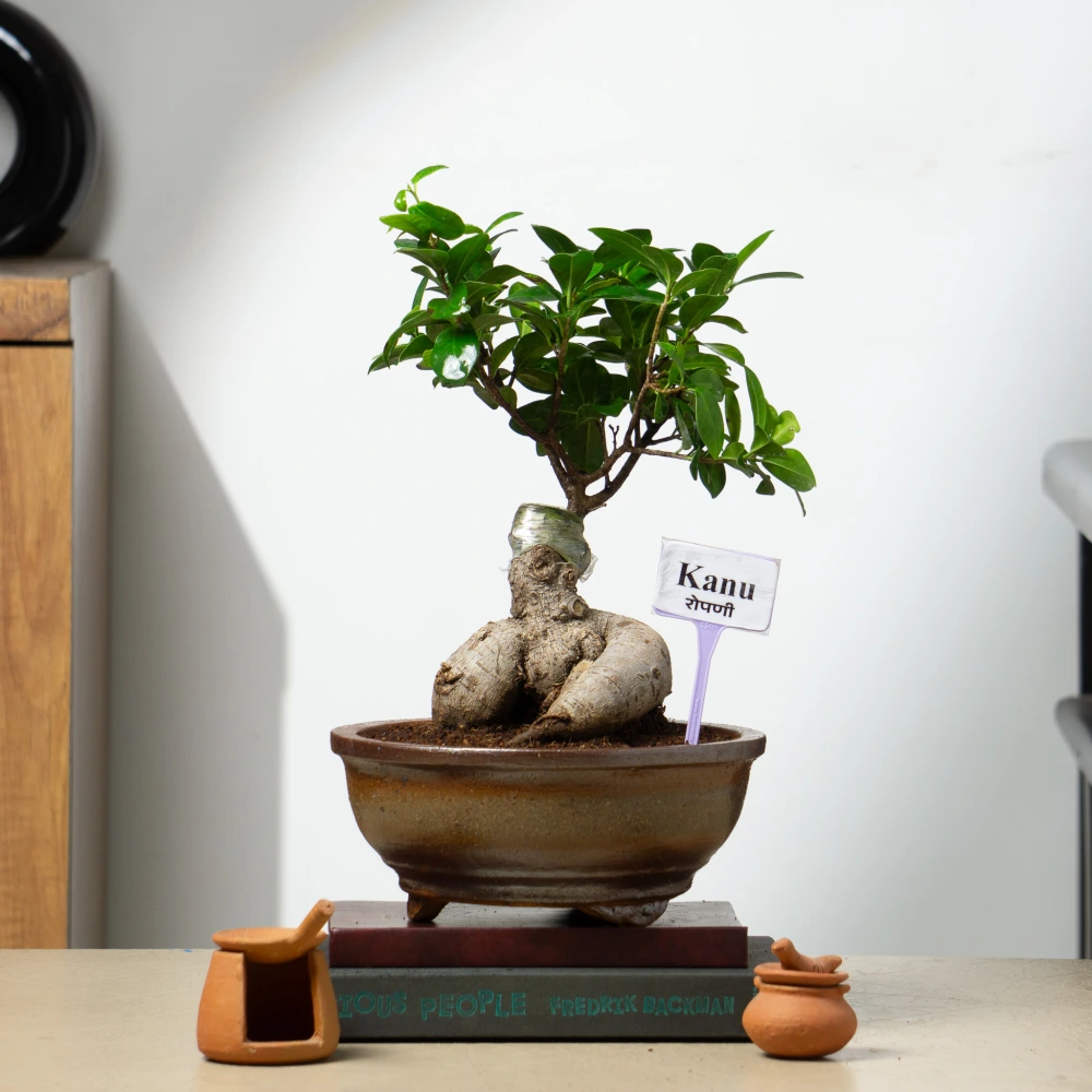 product-gallery