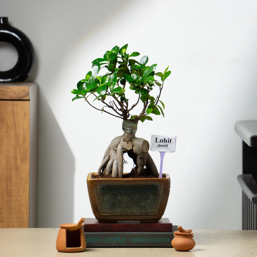 product-gallery