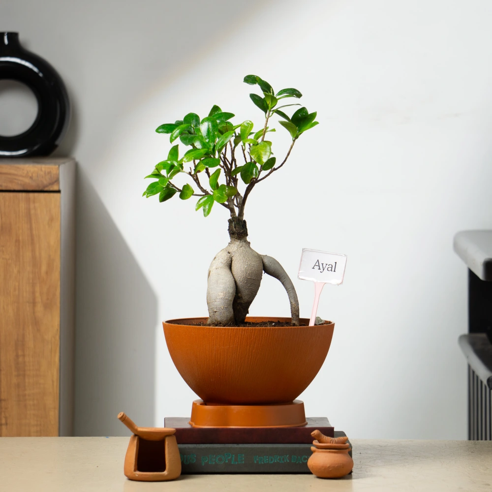 product-gallery