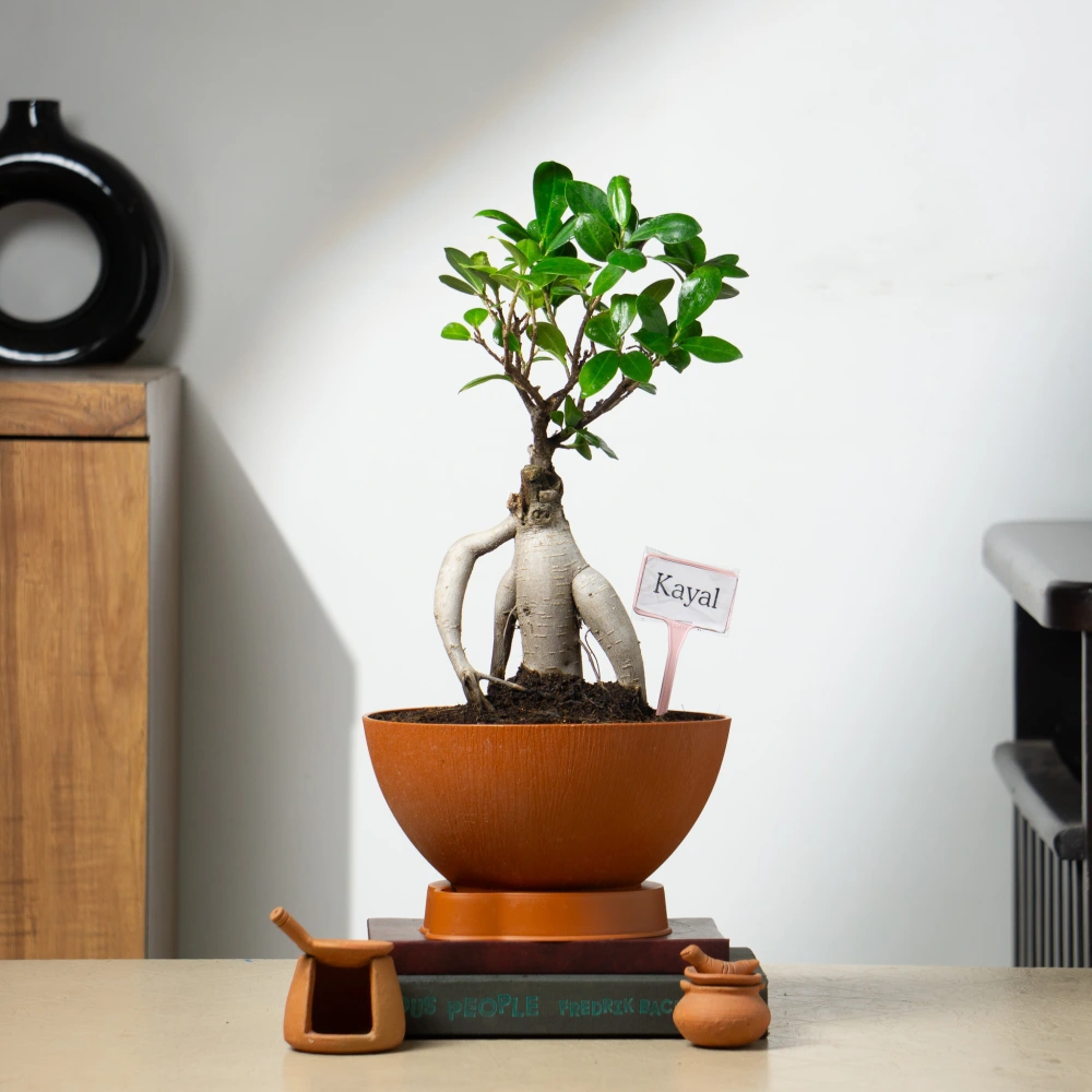 product-gallery