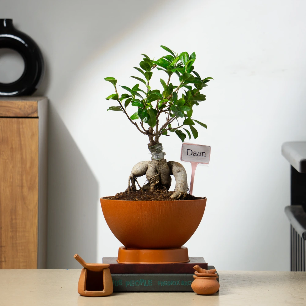 product-gallery
