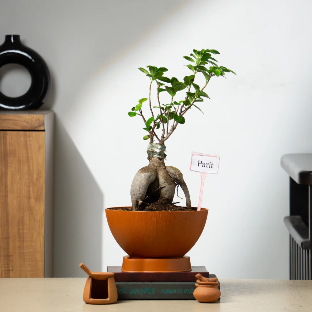 product-gallery
