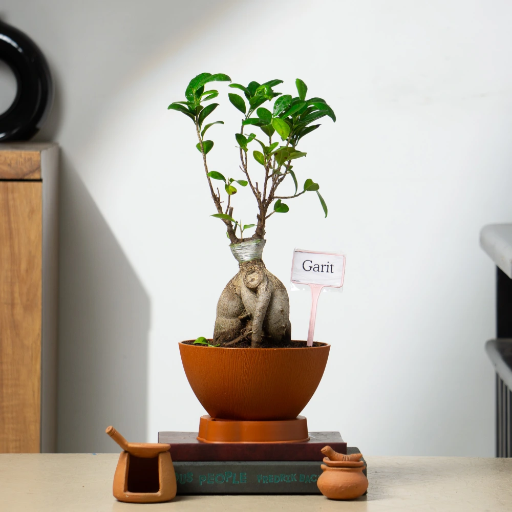 product-gallery