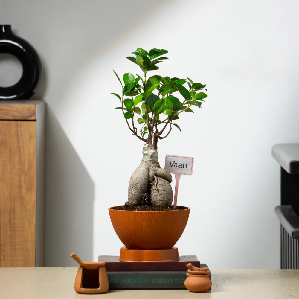 product-gallery