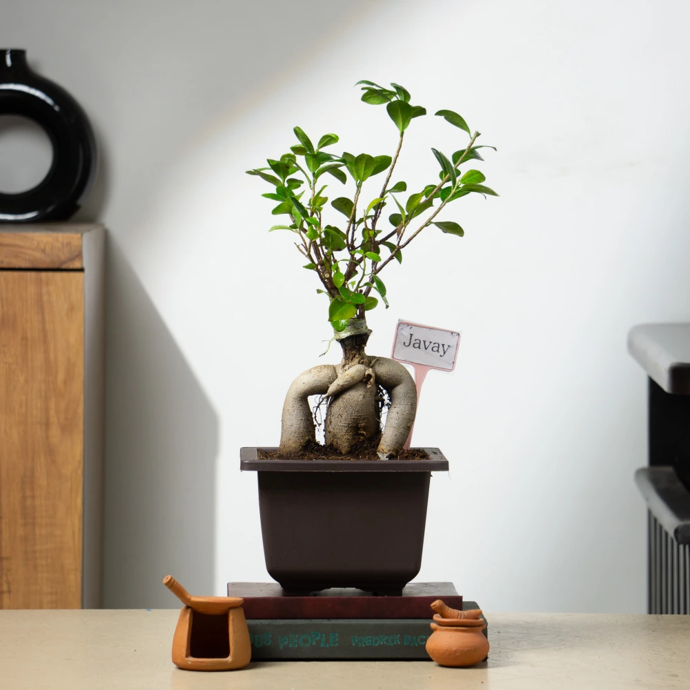 product-gallery