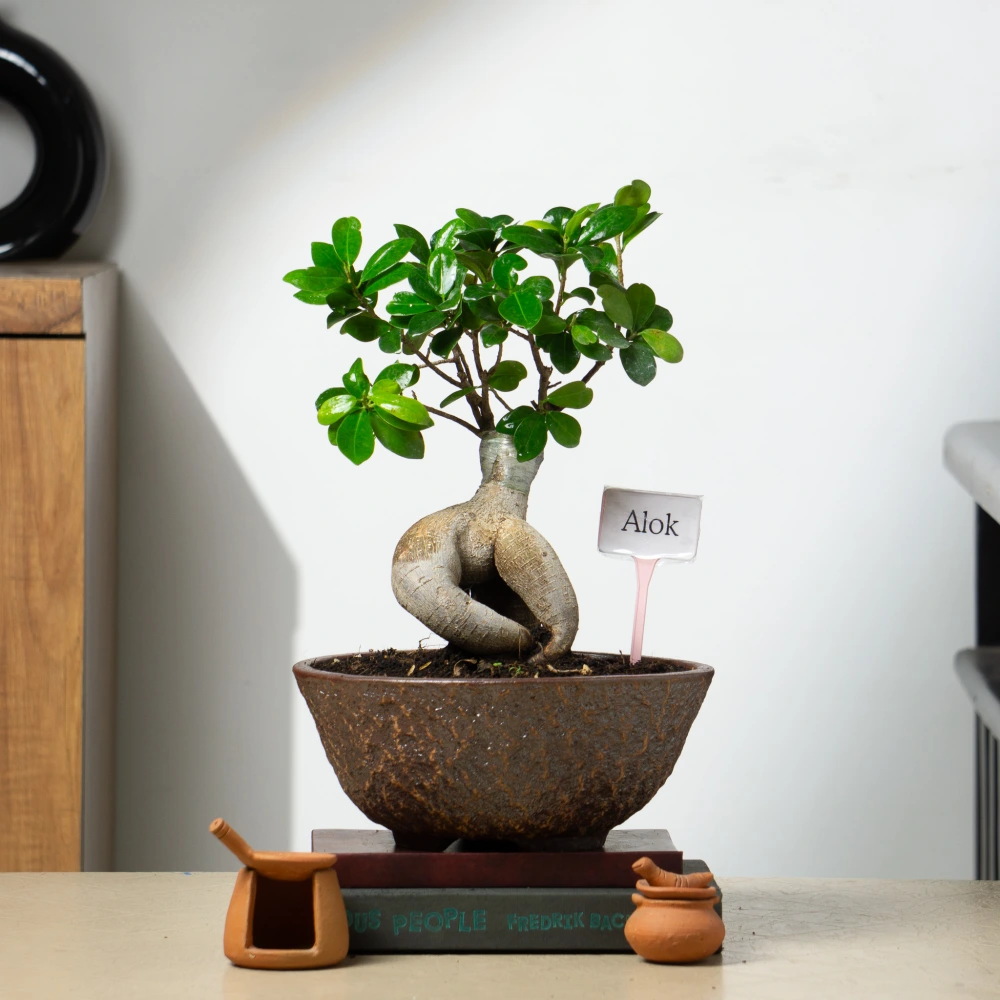 product-gallery