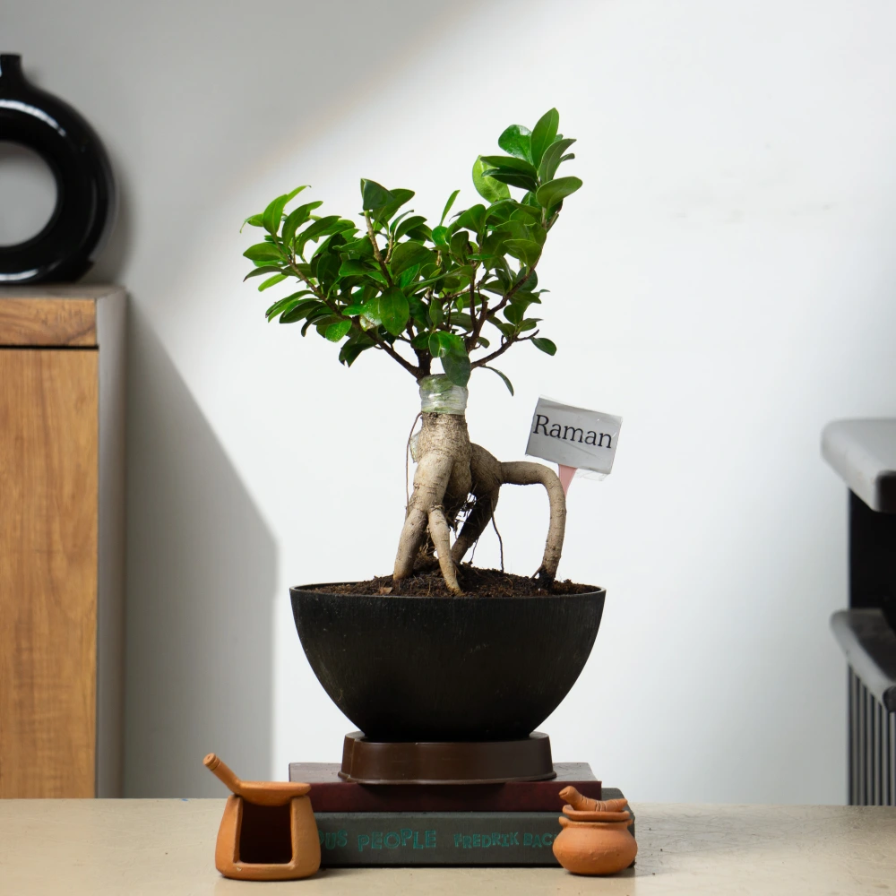 product-gallery