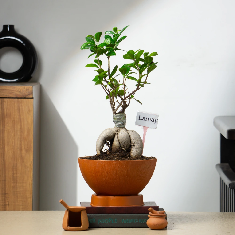 product-gallery