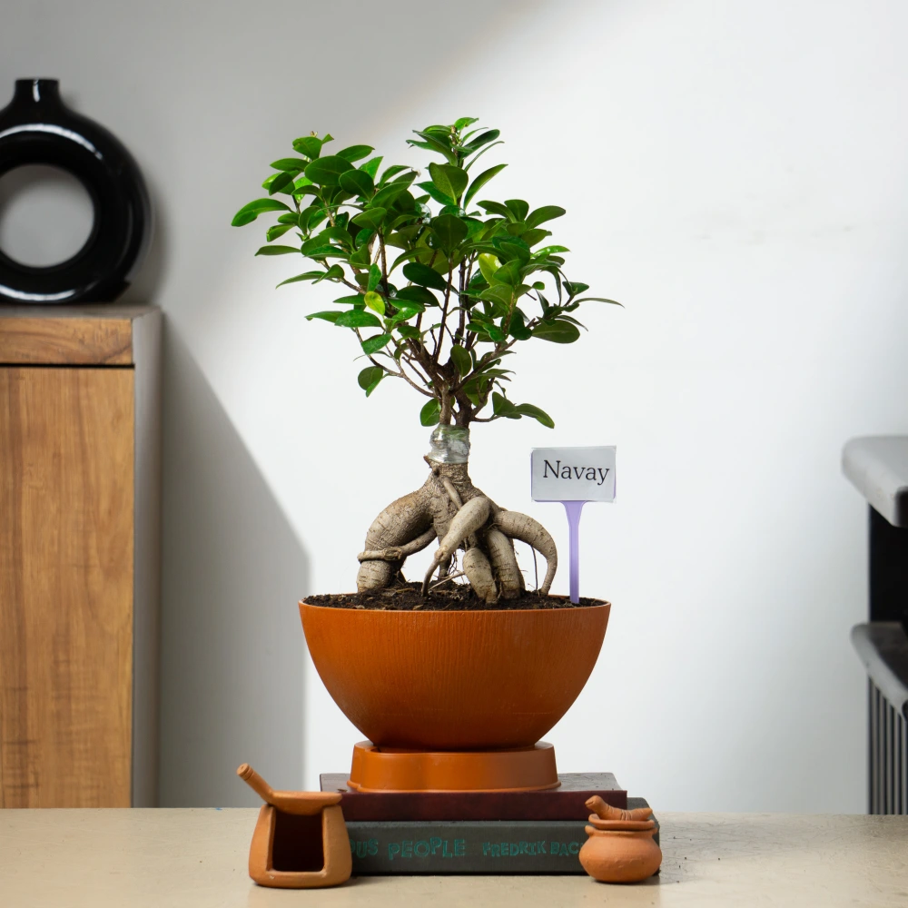 product-gallery