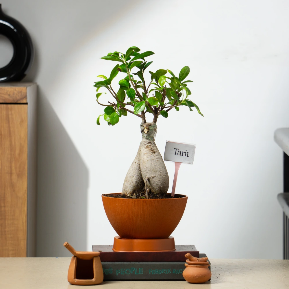 product-gallery