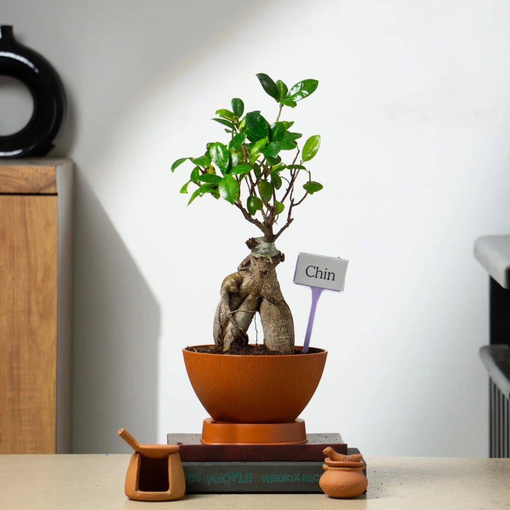 product-gallery