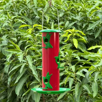 Iron  Bird Feeder