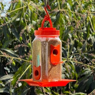Hexagon Shaped Small Food Feeder Orange