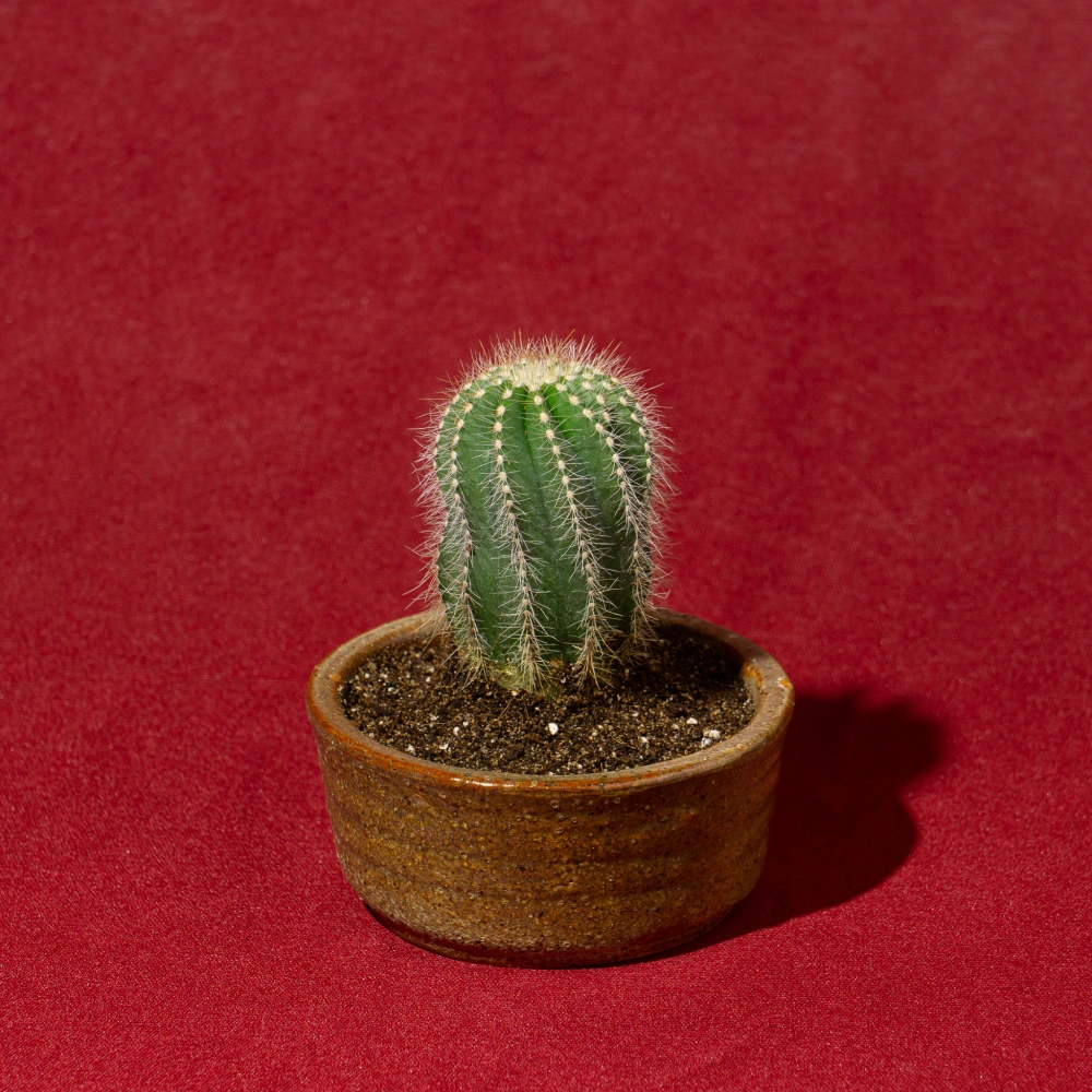 product-gallery