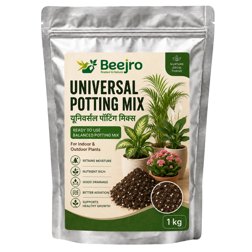 product-gallery