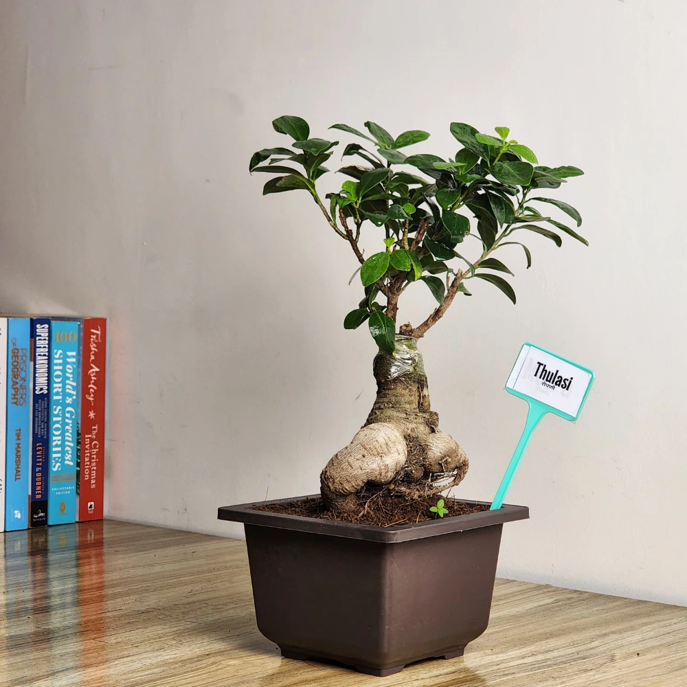 product-gallery