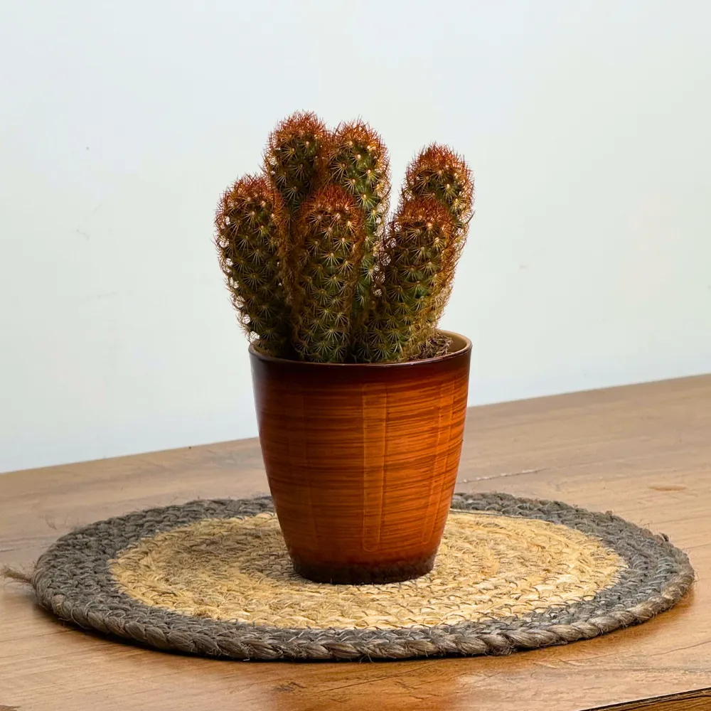 product-gallery