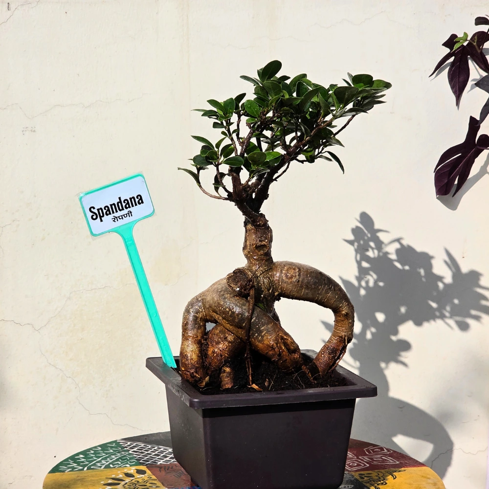 product-gallery
