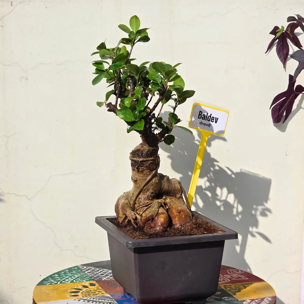 product-gallery